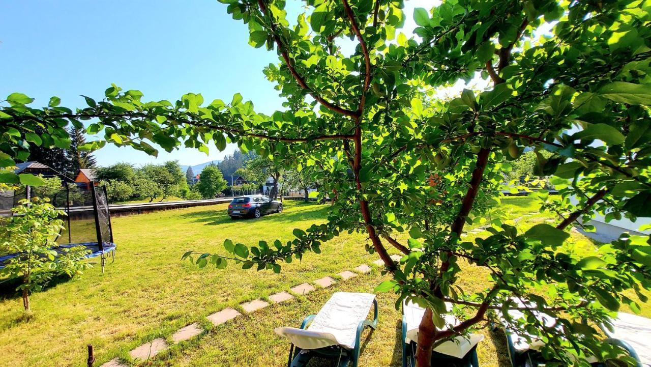 Pensiunea Boca ヴォロネツ エクステリア 写真